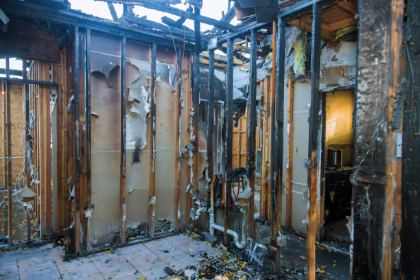 Professional Fire Damage Removal technician working in Galva, KS